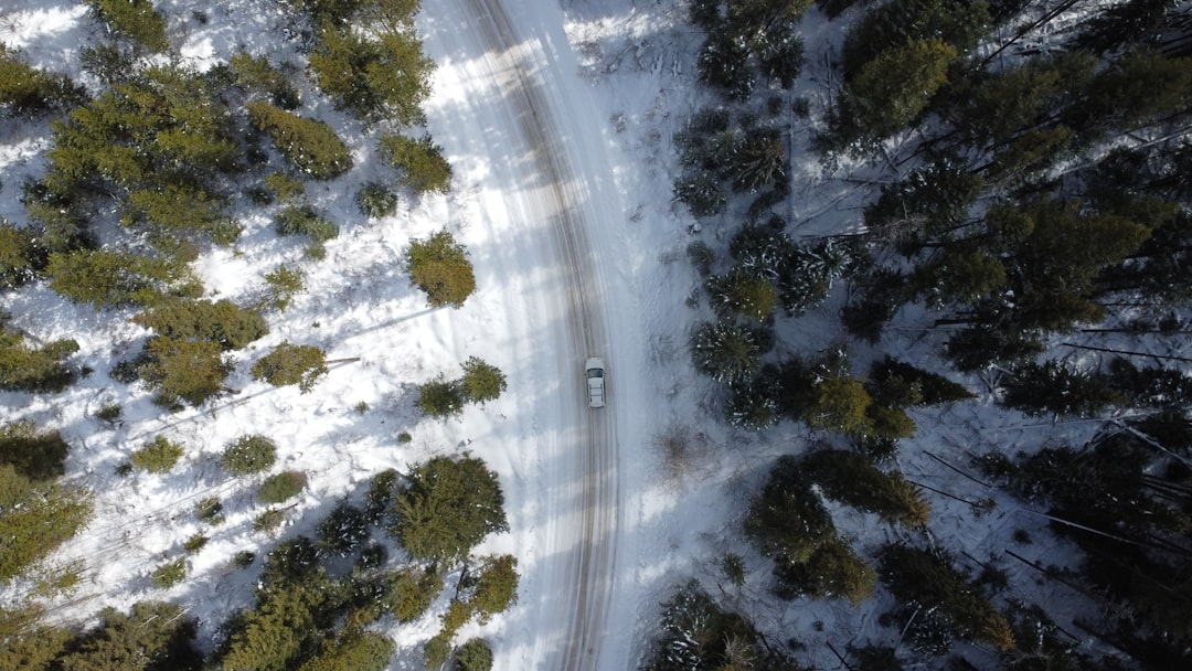 Florida Insurance Fraud Costs Drivers Millions